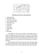 Konspekts 'Lietišķas sievietes imidžs', 15.