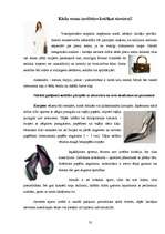 Konspekts 'Lietišķas sievietes imidžs', 35.