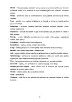 Konspekts 'Lietišķas sievietes imidžs', 38.