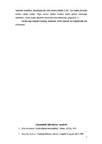 Referāts 'Amjēnas katedrāle un gotika Francijā', 7.