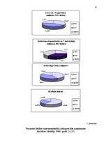 Referāts 'Eiro ietekme uz Latvijas ekonomiku', 20.