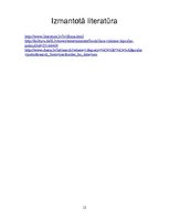 Referāts 'Daces Rukšānes stāstu krājums "Ķīpsalas putni"', 12.