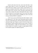 Referāts '"Debesu dāvana" Čaka dzejas procesa kontekstā: raksturīgākie tēli, detaļas un to', 7.