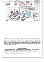 Konspekts 'Iesmidzināšanas sistēmas L-Jectronic', 2.