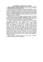 Referāts 'Pasaules svētvietas', 8.