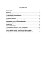 Prakses atskaite 'Отчет по компании "Rilat"', 2.