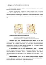 Prakses atskaite 'Отчет по компании "Rilat"', 4.