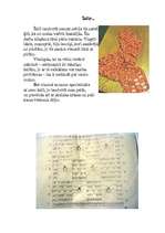 Konspekts 'Šalles apraksts', 1.