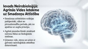 Prezentācija 'Ievads neirobioloģijā: agrīnās vides ietekme uz smadzeņu attīstību', 1.