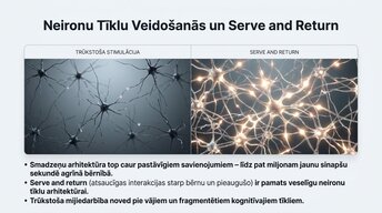 Prezentācija 'Ievads neirobioloģijā: agrīnās vides ietekme uz smadzeņu attīstību', 9.