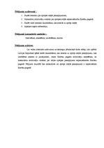 Referāts 'Mājas aprūpes nepieciešamība Kocēnu pagastā', 8.