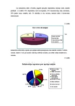 Referāts 'Mājas aprūpes nepieciešamība Kocēnu pagastā', 18.