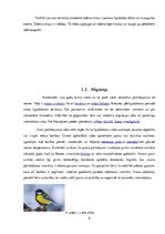 Paraugs 'ZPD paraugs - putnu pielāgotība barības ieguvei un dzīves videi', 8.