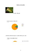 Paraugs 'ZPD paraugs - putnu pielāgotība barības ieguvei un dzīves videi', 9.