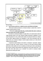 Diplomdarbs 'Likumiskās mantošanas īpatnības pārdzīvojušā laulātā mantojuma daļas noteikšanā', 32.