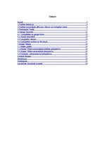 Referāts 'Pilsētas socioloģija', 2.