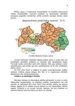 Referāts 'Mārketinga vides, konkurences un nozares analīze', 10.