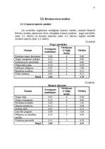 Referāts 'Mārketinga vides, konkurences un nozares analīze', 17.