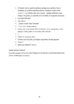 Diplomdarbs 'Pieredzes mārketinga iespējas uzņēmuma SIA "RSC noma" būvgružu konteineru nomas ', 50.