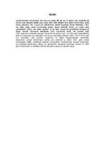 Referāts 'Snovbords', 3.