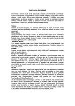 Referāts 'Snovbords', 4.