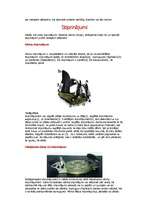 Referāts 'Snovbords', 6.