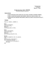 Paraugs 'Matemātikas datorrealizācija', 1.