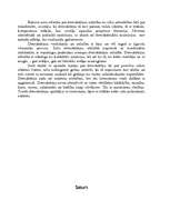 Referāts 'Demokrātijas attīstības vēsture', 11.