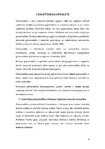 Referāts 'Programmas "Tildes Jumis" iespēju salīdzinājums ar "Horizon"', 4.