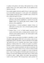 Referāts 'Programmas "Tildes Jumis" iespēju salīdzinājums ar "Horizon"', 14.