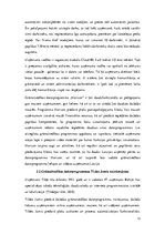 Referāts 'Programmas "Tildes Jumis" iespēju salīdzinājums ar "Horizon"', 15.