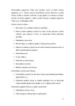 Referāts 'Programmas "Tildes Jumis" iespēju salīdzinājums ar "Horizon"', 17.