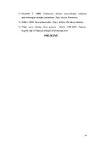 Referāts 'Programmas "Tildes Jumis" iespēju salīdzinājums ar "Horizon"', 26.