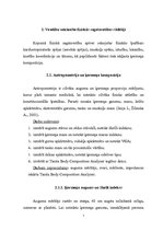 Referāts 'Veselību veicinošie fiziskās sagatavotības rādītāji', 7.