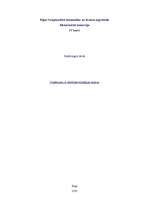 Referāts 'Uzņēmuma A attīstības stratēģijas analīze', 1.