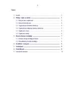 Referāts 'Uzņēmuma A attīstības stratēģijas analīze', 2.