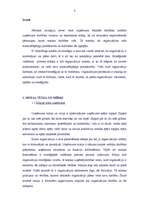 Referāts 'Uzņēmuma A attīstības stratēģijas analīze', 3.