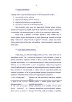 Referāts 'Uzņēmuma A attīstības stratēģijas analīze', 4.