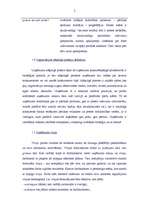 Referāts 'Uzņēmuma A attīstības stratēģijas analīze', 5.