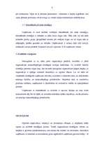 Referāts 'Uzņēmuma A attīstības stratēģijas analīze', 8.