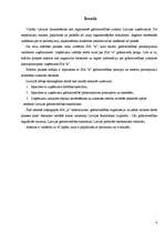 Prakses atskaite 'Prakses atskaite finanšu grāmatvedībā', 4.