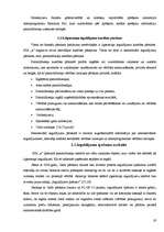 Prakses atskaite 'Prakses atskaite finanšu grāmatvedībā', 19.