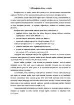 Prakses atskaite 'Prakses atskaite finanšu grāmatvedībā', 21.