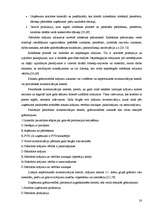 Prakses atskaite 'Prakses atskaite finanšu grāmatvedībā', 28.