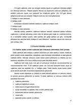 Prakses atskaite 'Prakses atskaite finanšu grāmatvedībā', 37.