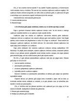 Prakses atskaite 'Prakses atskaite finanšu grāmatvedībā', 45.