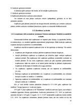 Prakses atskaite 'Prakses atskaite finanšu grāmatvedībā', 48.