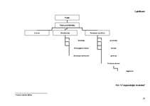 Prakses atskaite 'Prakses atskaite finanšu grāmatvedībā', 63.