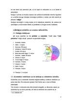 Referāts 'Reliģijas nozīme sabiedrībā', 4.