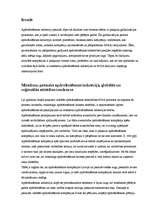 Referāts 'Pasaules vadošās apdrošināšanas sabiedrības M&A procesos', 3.